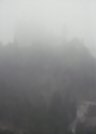 Neuschwanstein Castle beneath a veil of fog